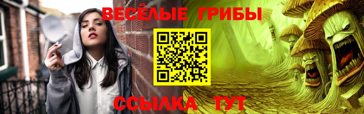 Кубинка  Псилоцибиновые грибы мицелий  купить  сайты  Вход с VPN 